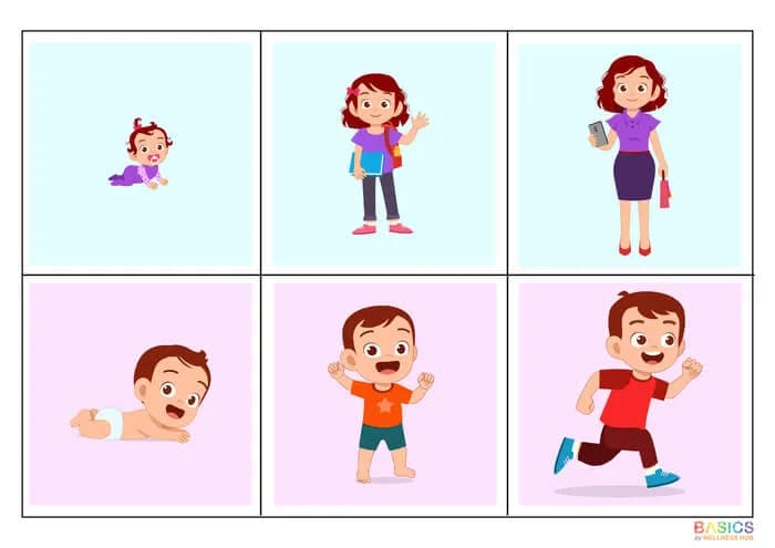 3-Step Sequencing Cards: Printable PDF for Early Learning-PDF1