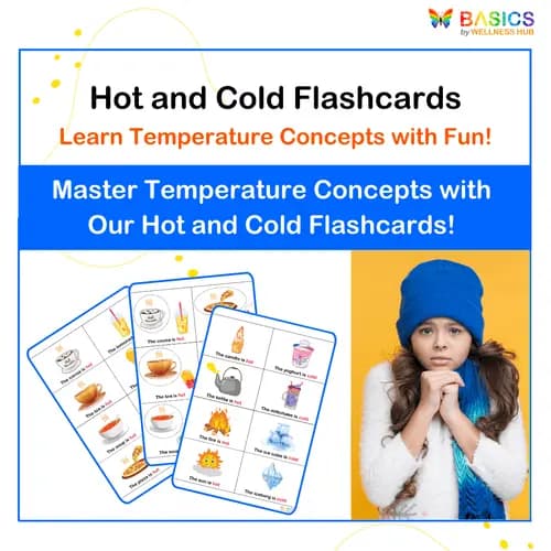 Hot and Cold Flashcards: Learn Temperature Concepts with Objects - Free
