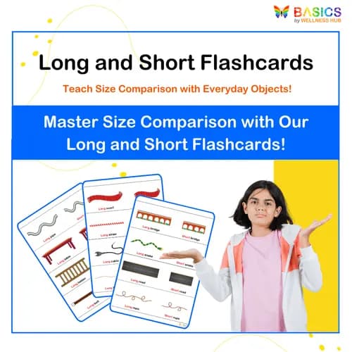Long and Short Flashcards: Teach Size Comparison with Everyday Objects