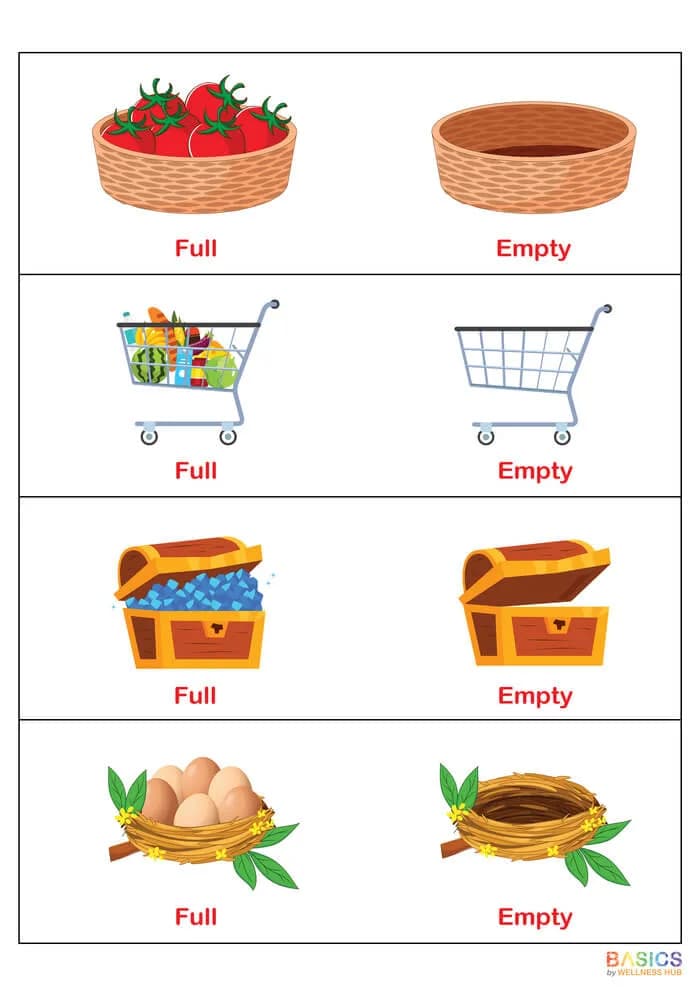 Full and Empty Flashcards: Teach Quantity Concepts with Everyday Objects-PDF1