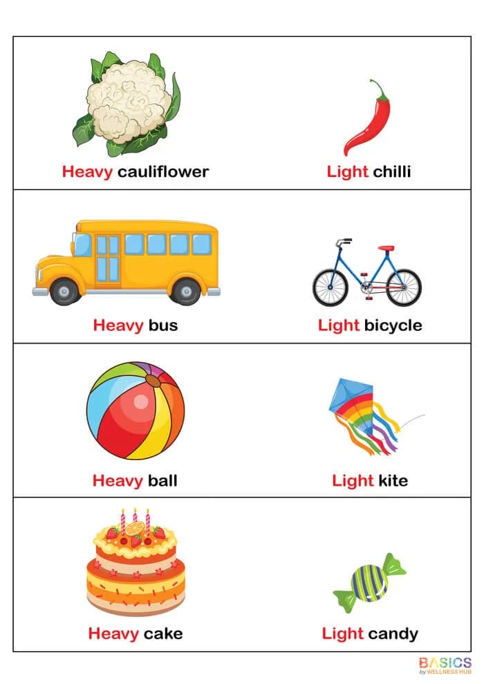 Heavy and Light Flashcards: Teach Weight Comparison with Everyday Objects-PDF1