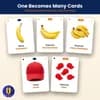 One Becomes Many Cards — 116 Printable Singular and Plural Picture Flashcards in 44 Sets thumbnail 1