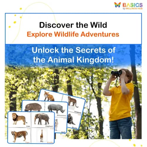 Wild Animals Flashcards for Kids: Free Printable PDF - Free