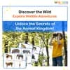 Wild Animals Flashcards for Kids: Free Printable PDF