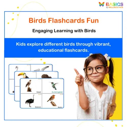 Birds Flashcards for Kids – Free Printable PDF