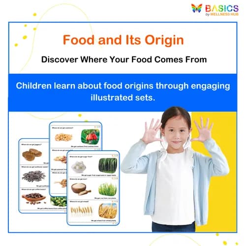 Where - Food and Its Origin: Illustrated Worksheet for Kids - Free