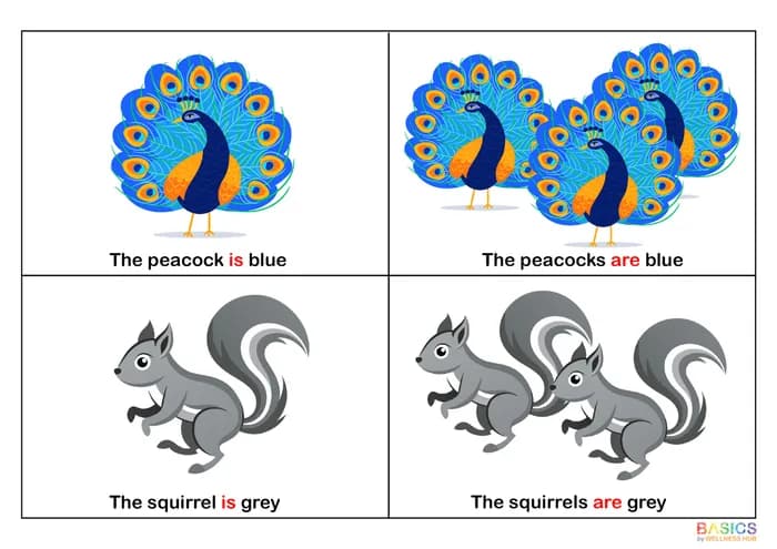 IS / ARE – With Colors: Printable PDF for Learning Singular and Plural-PDF1