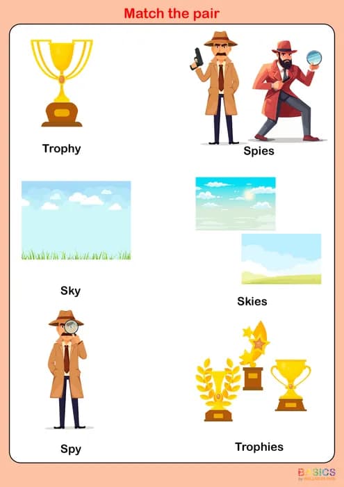 IES – Match the Pair: Singular and Plural Matching Activity-PDF1