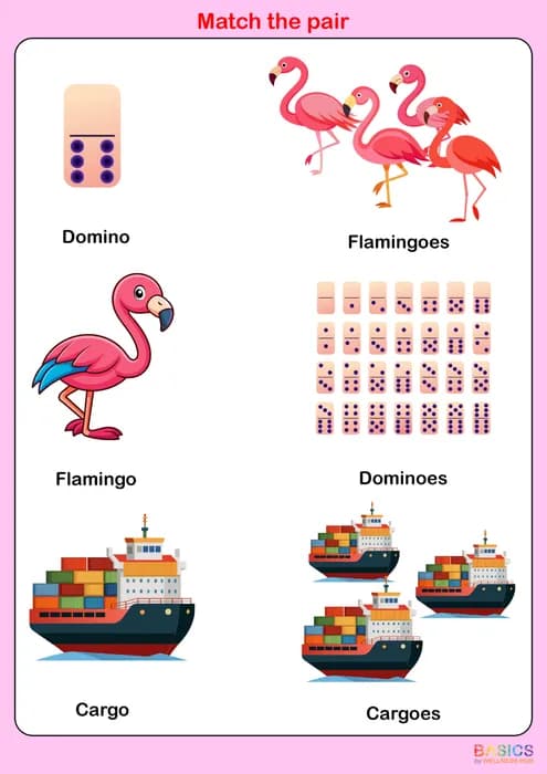 OES – Match the Pair: Singular and Plural Words-PDF1