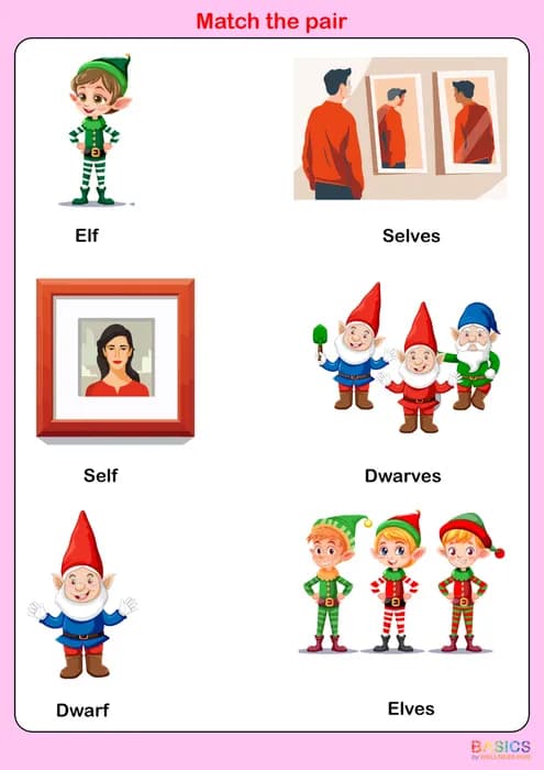 VES – Match the Pair: Singular and Plural Words-PDF1