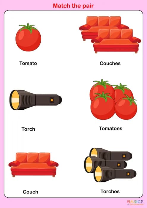 ES – Match the Pair: Singular and Plural Matching Activity-PDF1