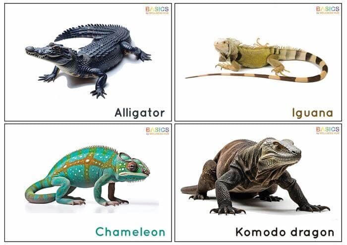 Reptiles Flashcards for Kids – Free Printable PDF-PDF1