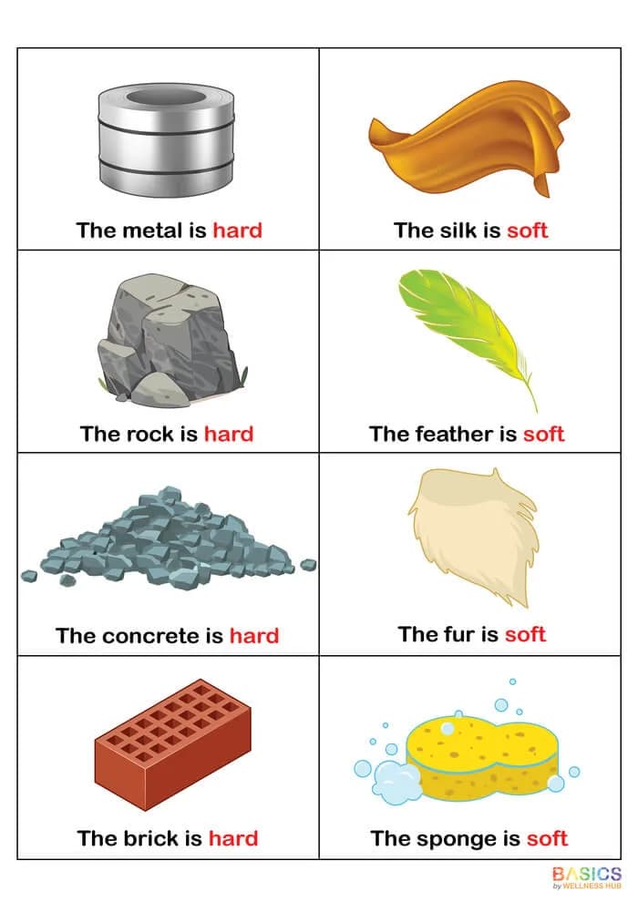Free Learning Sentences with Hard and Soft: Illustrated PDF for Kids-PDF1