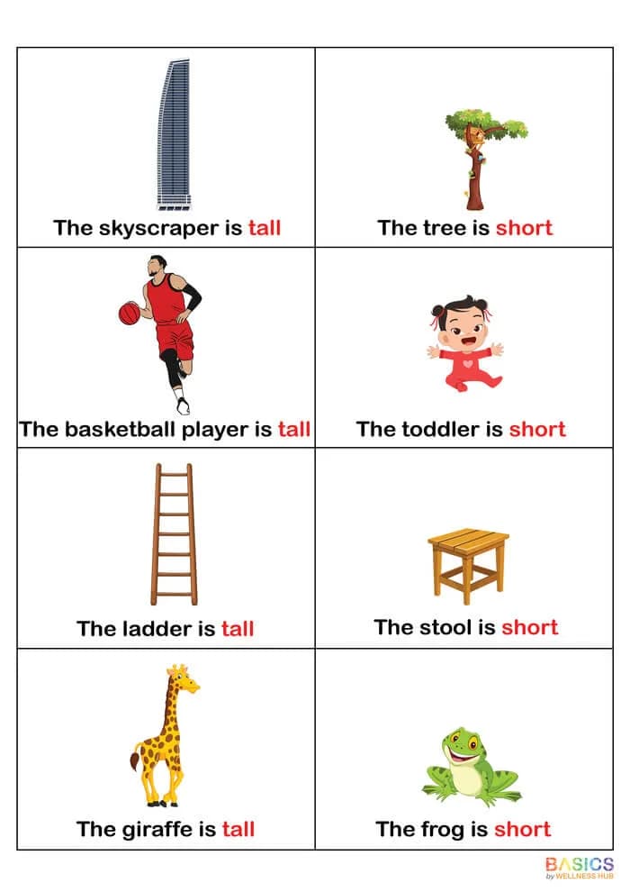 Learning Sentences with Tall and Short: Illustrated PDF for Kids-PDF1