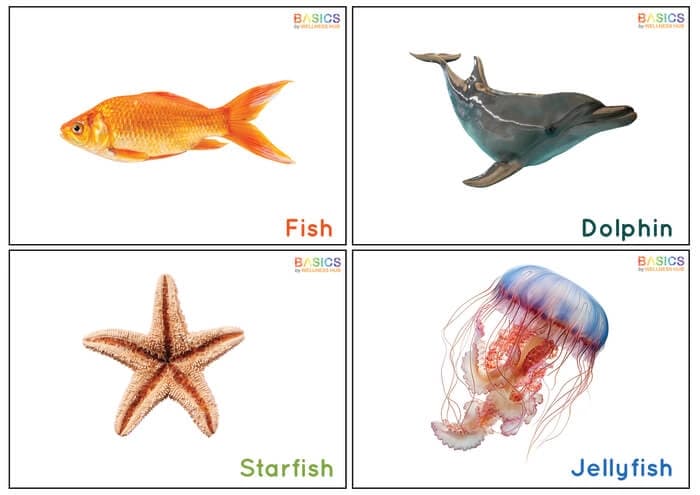 Water Animals Flashcards for Kids – Free Printable PDF-PDF1