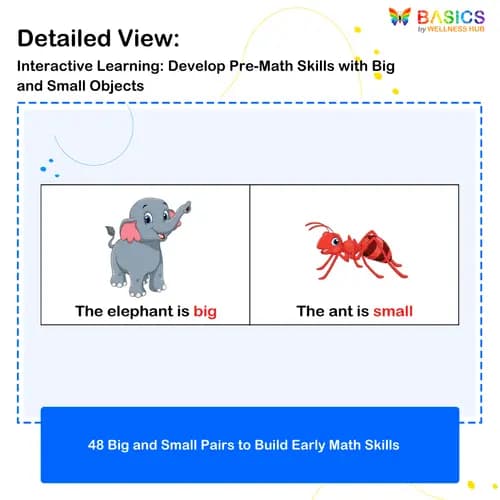 Big and Small Flashcards: Pre-Math Concepts for Kids