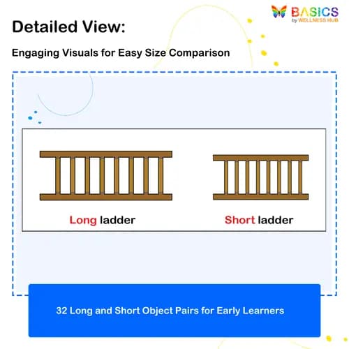 Long and Short Flashcards: Teach Size Comparison with Everyday Objects