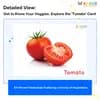 Vegetables Flashcards for Kids: Free Printable PDF