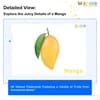 Fruits Flashcards for Kids: Free Printable PDF