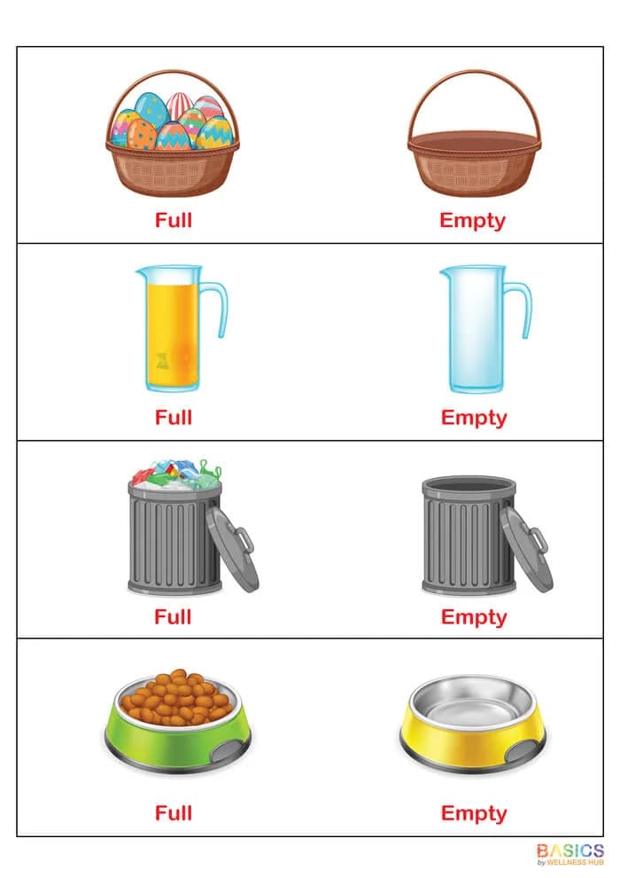Full and Empty Flashcards: Teach Quantity Concepts with Everyday Objects-PDF2