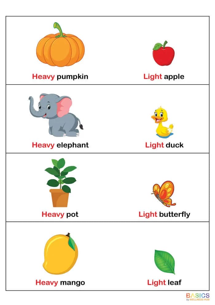 Heavy and Light Flashcards: Teach Weight Comparison with Everyday Objects-PDF2