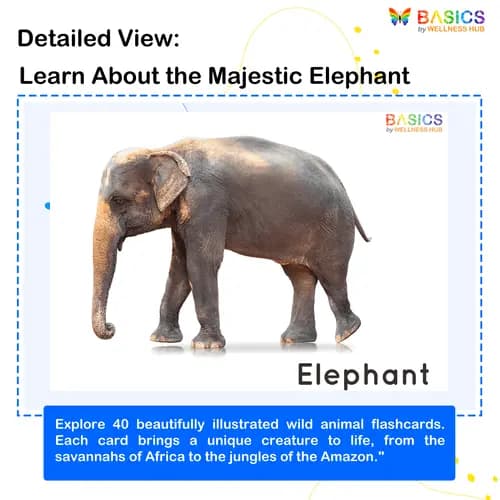 Wild Animals Flashcards for Kids: Free Printable PDF