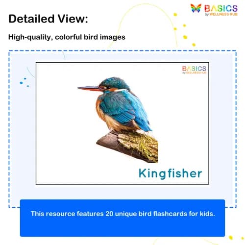 Birds Flashcards for Kids – Free Printable PDF preview 2