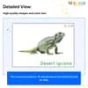 Desert Animals Flashcards for Kids – Free Printable PDF