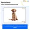 Domestic Animals Flashcards for Kids – Printable PDF
