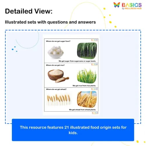 Where - Food and Its Origin: Illustrated Worksheet for Kids preview 2