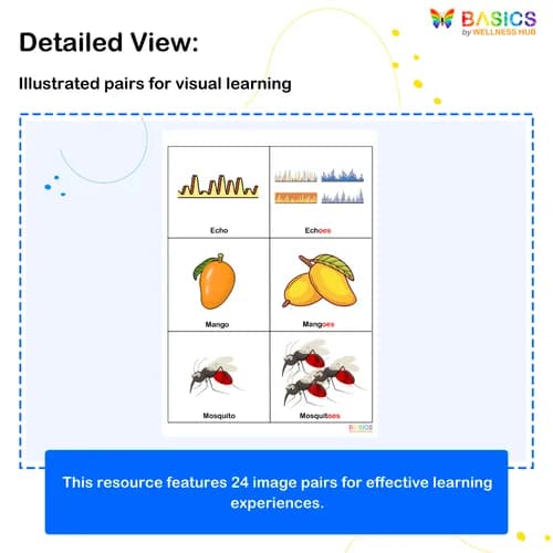 PLURALS – “OES” – Learn Plural Nouns Ending with “-oes” Through Pictures preview 2