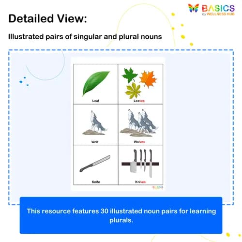PLURALS – “VES” – Learn Plural Nouns Ending with “-ves” Through Pictures