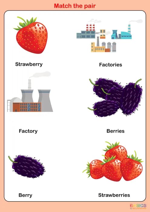 IES – Match the Pair: Singular and Plural Matching Activity-PDF2