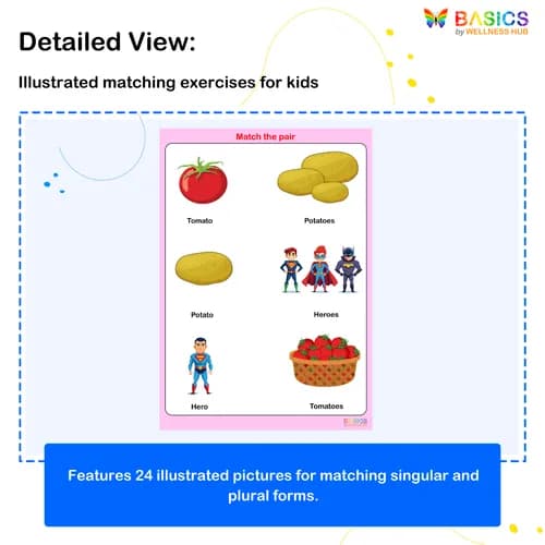 OES – Match the Pair: Singular and Plural Words preview 2