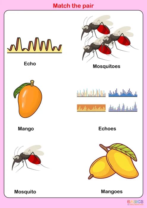 OES – Match the Pair: Singular and Plural Words-PDF2