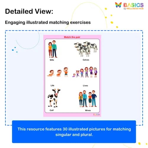 VES – Match the Pair: Singular and Plural Words preview 2