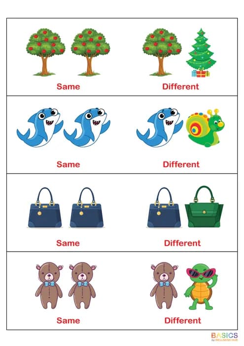 Same or Different: Visual Discrimination Worksheets for Kids-PDF2