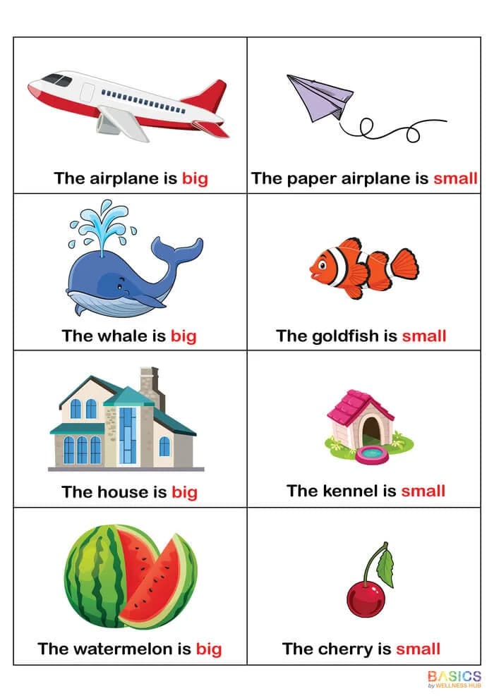 Sentences with Big and Small: Illustrated Learning PDF for Kids-PDF2