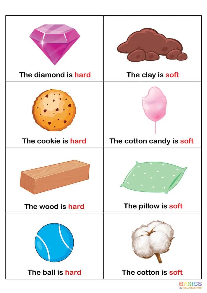 Free Learning Sentences with Hard and Soft: Illustrated PDF for Kids-PDF2