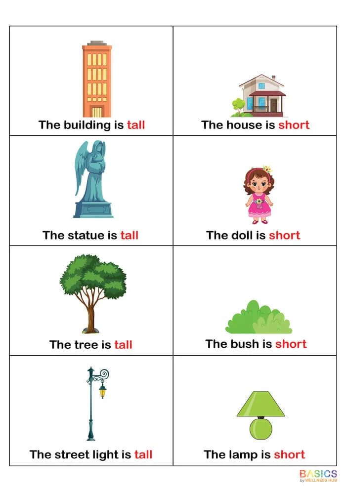 Learning Sentences with Tall and Short: Illustrated PDF for Kids-PDF2