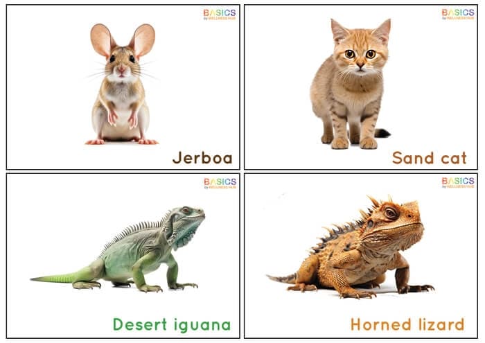 Desert Animals Flashcards for Kids – Free Printable PDF-PDF2