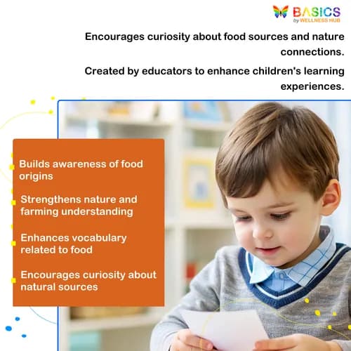 Where - Food and Its Origin: Illustrated Worksheet for Kids preview 3