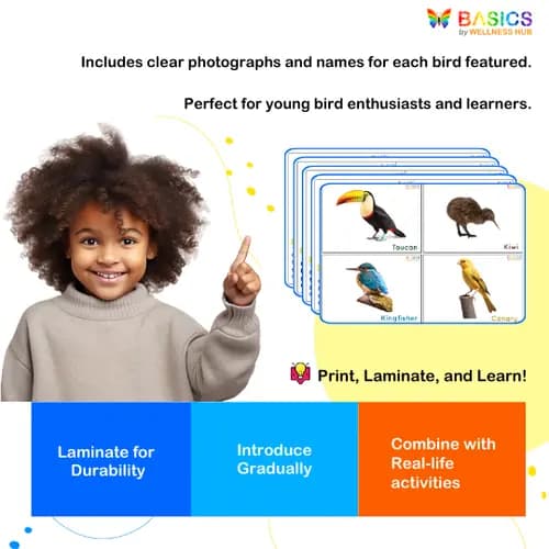 Birds Flashcards for Kids – Free Printable PDF