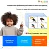 Birds Flashcards for Kids – Free Printable PDF