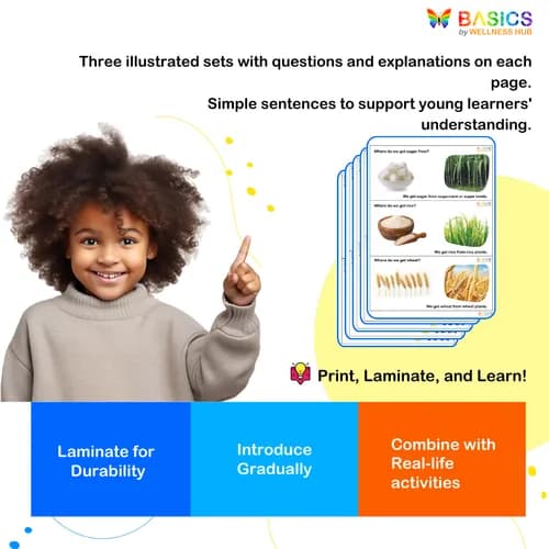 Where - Food and Its Origin: Illustrated Worksheet for Kids preview 4