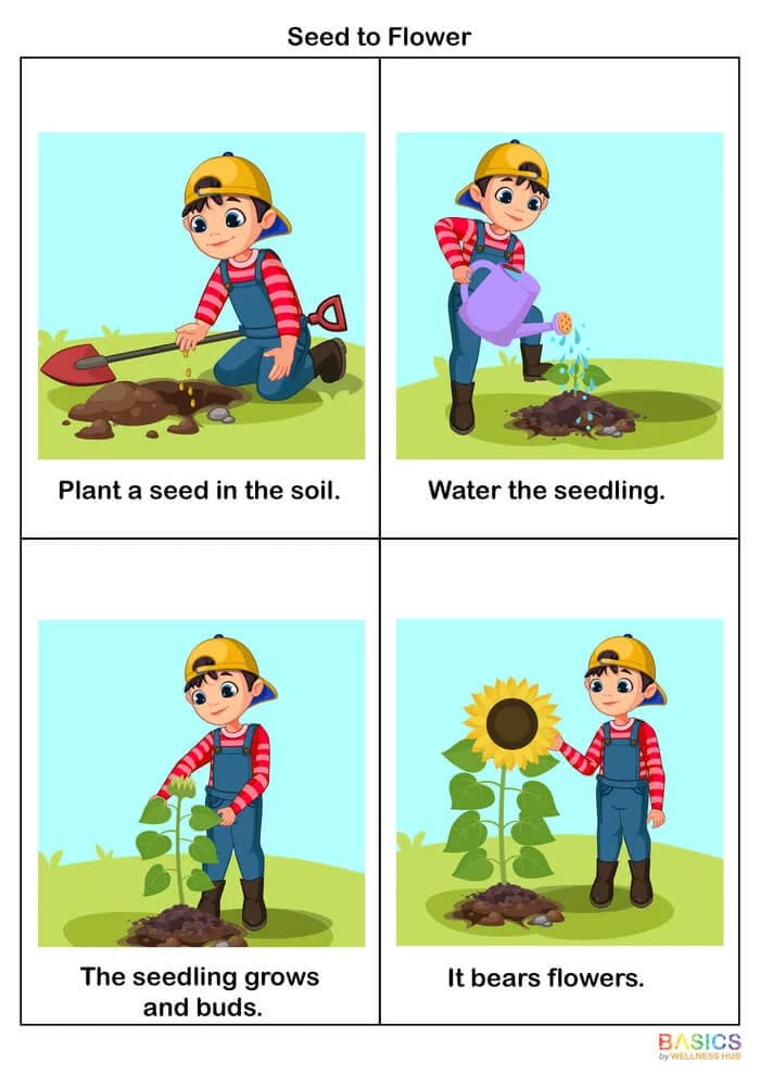 4-Step Sequencing Cards: Printable PDF for Good Habits & Daily Routines-PDF1