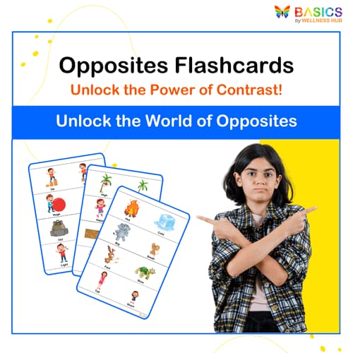 Opposites Flashcards: Learn & Discover Duality - Free