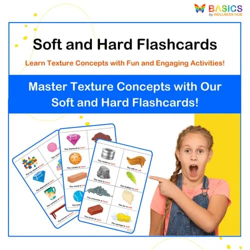 Soft and Hard Flashcards: Learn Texture Concepts with Everyday Objects - Free