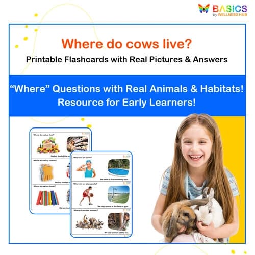Where Questions in Nature – Printable Flashcards on Animals & Habitats - Free