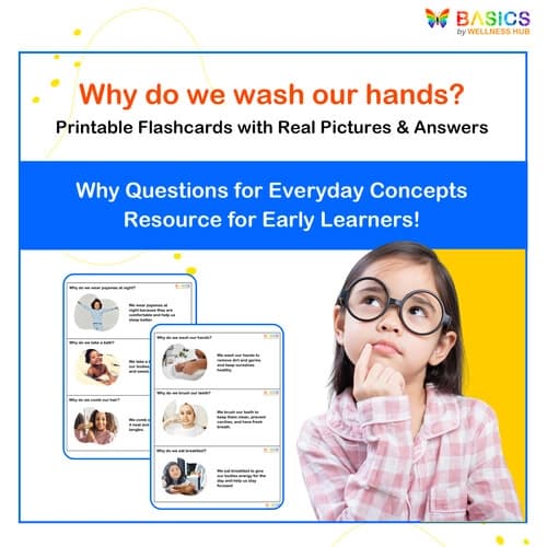 Why Do We…? WH Questions for Everyday Concepts (Printable PDF) - Free